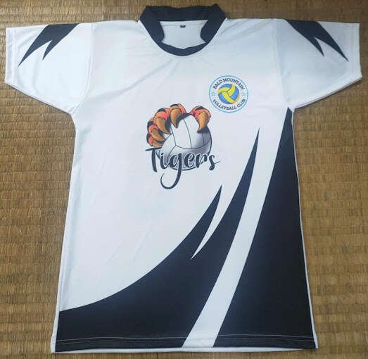 Chennai T-Shirts